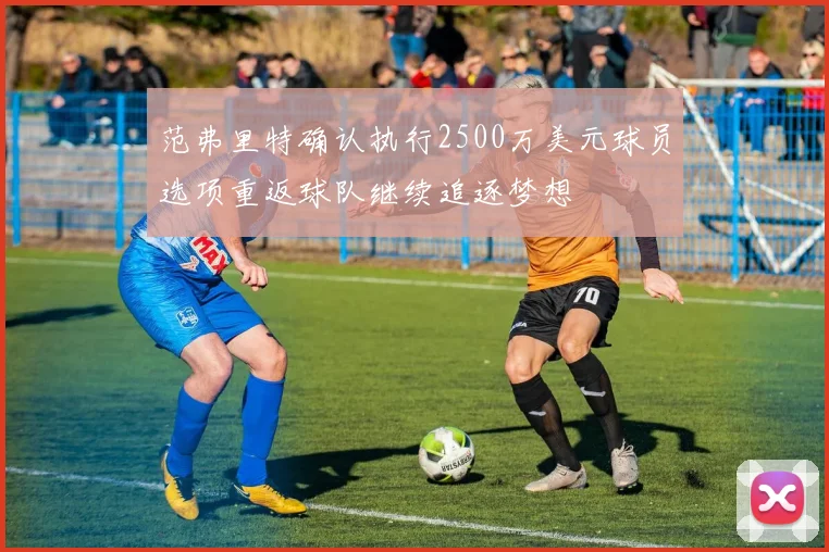 范弗里特确认执行2500万美元球员选项重返球队继续追逐梦想